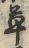 草 위치 확인됨