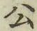 글자 公