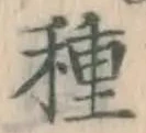 글자 種