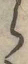 位置定マレル𛃰