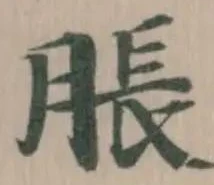 脹 위치 확인됨