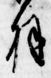 羽 위치 확인됨