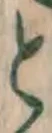文字 と
