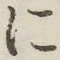 글자 に