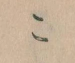 この位置