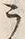 Character ラ