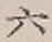 文字 六