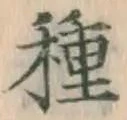 글자 種
