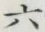 글자 六