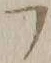 字フ