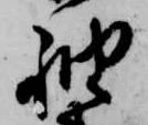 已定位袖