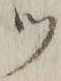 文字 ツ