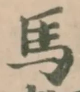 馬 위치 확인됨