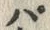 글자 パ