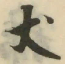 䓴の位置