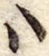 𛂞の位置