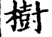 “樹”字