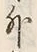 Chữ 外