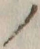 字ノ
