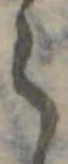 𛃰 위치 확인됨