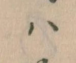 𛂞 위치 확인됨