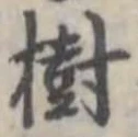 樹 위치 확인됨