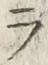 글자 ラ
