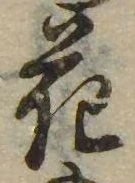 花，已得其位