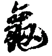 已定位亀