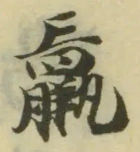 鸁の位置