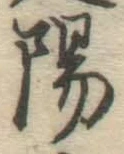 글자 陽