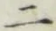 글자 二