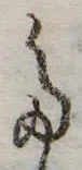 𛁟 위치 확인됨