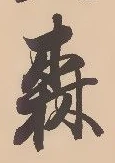 森 위치 확인됨