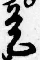 已定位是