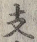 支の位置