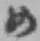 字め