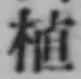 글자 植