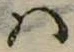 Đã định vị 𛂞