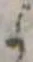 미지정 위치 확인됨