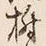글자 樹