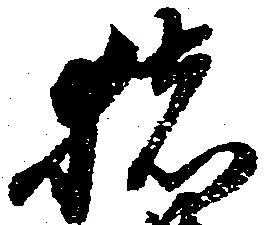 已定位猪