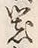 글자 器