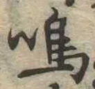 鳴 위치 확인됨