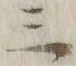 文字三
