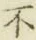 글자 不