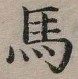 馬 위치 확인됨