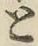 文字 と