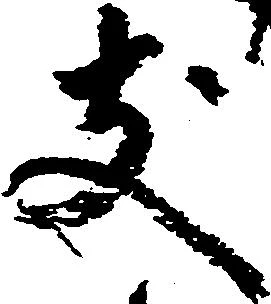 支の位置