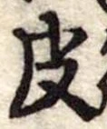 位置定マレル皮